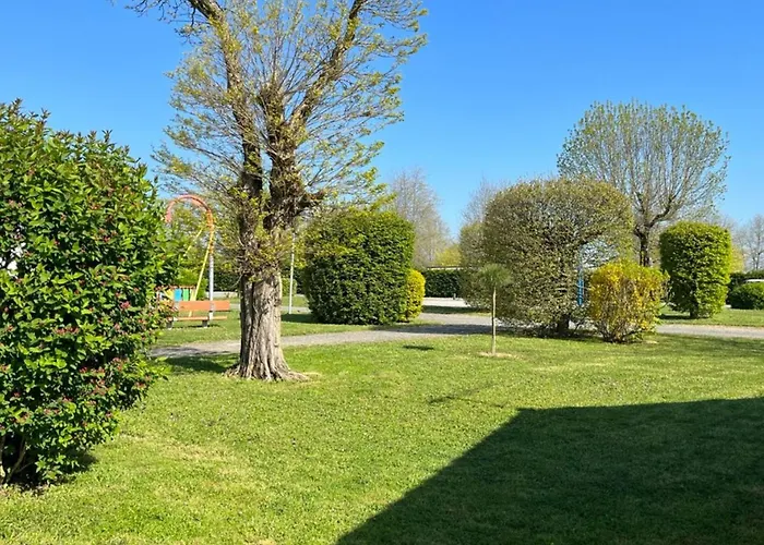 Parque de Campismo 6 Personnes - Terrasse Et Confort à - Api-1-52-1252